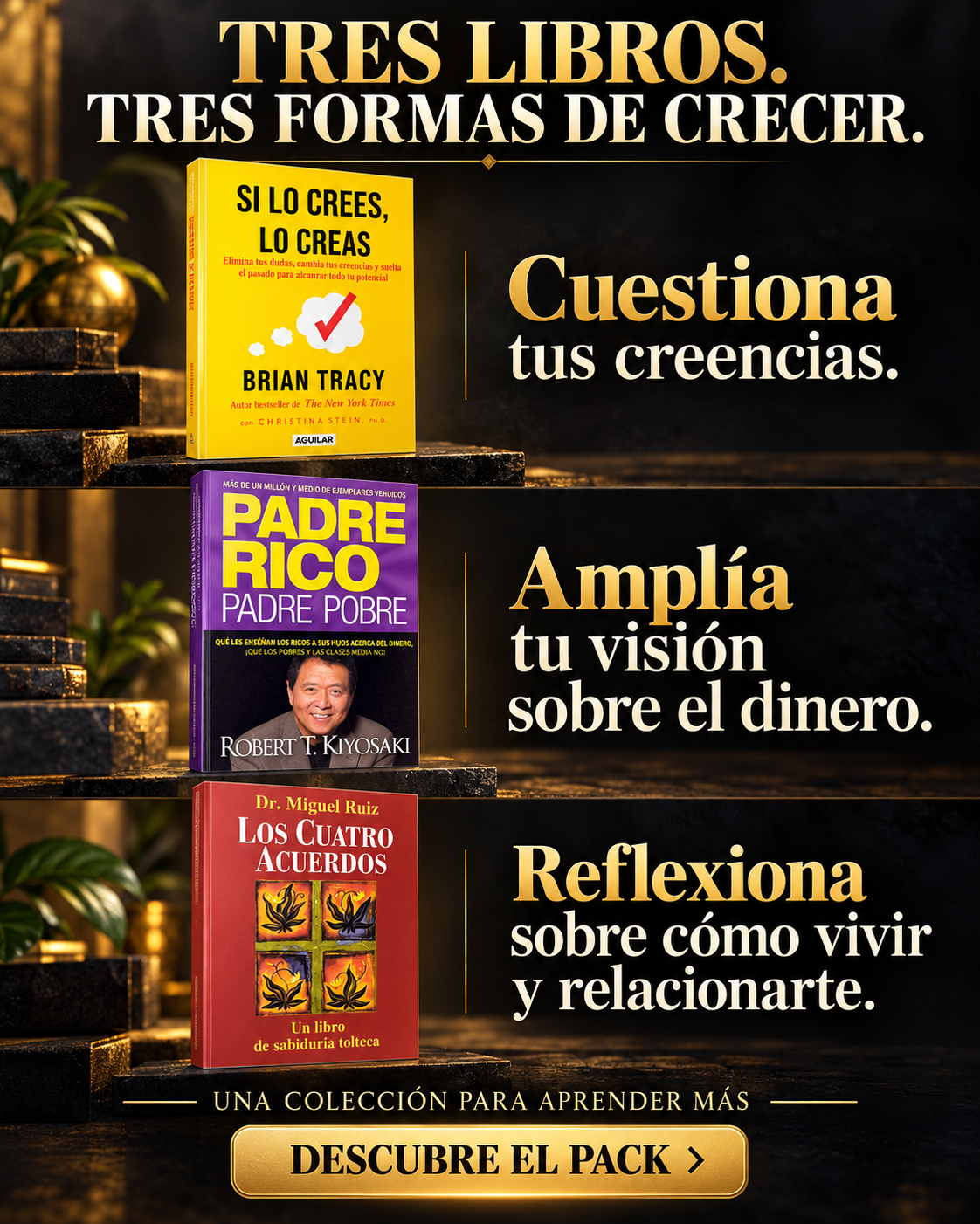 PACK MENTALIDAD DE EXITO